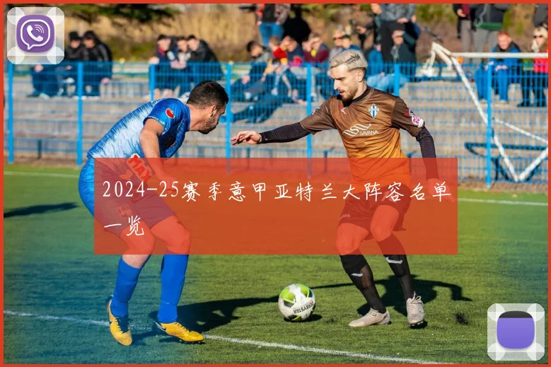 2024-25赛季意甲亚特兰大阵容名单一览