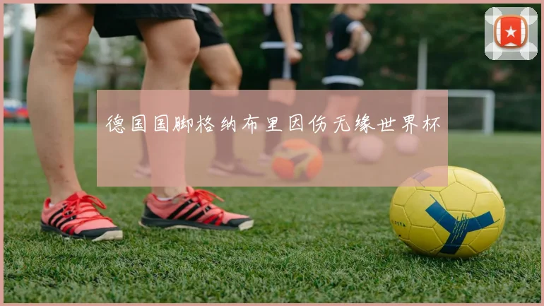 德国国脚格纳布里因伤无缘世界杯